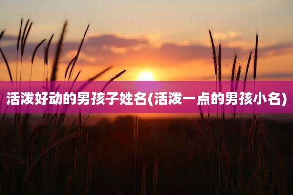 活泼好动的男孩子姓名(活泼一点的男孩小名)