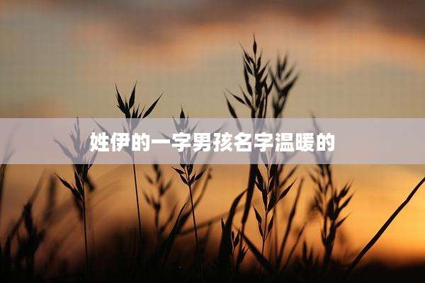 姓伊的一字男孩名字温暖的