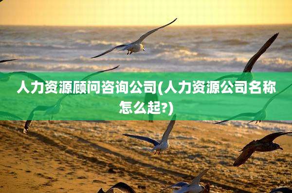人力资源顾问咨询公司(人力资源公司名称怎么起?)