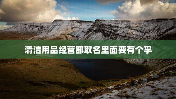 清洁用品经营部取名里面要有个孚