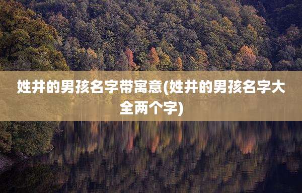 姓井的男孩名字带寓意(姓井的男孩名字大全两个字)
