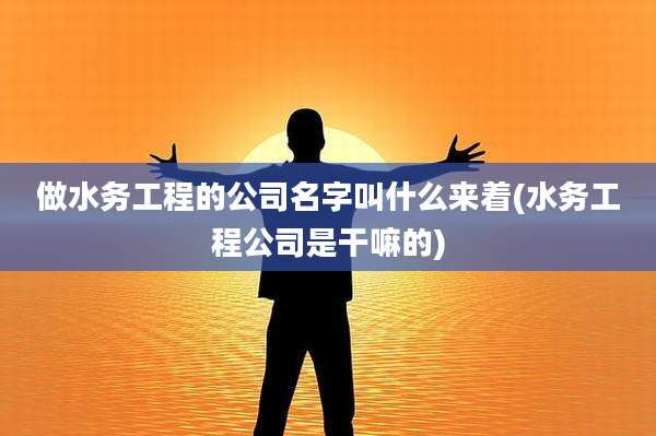 做水务工程的公司名字叫什么来着(水务工程公司是干嘛的)