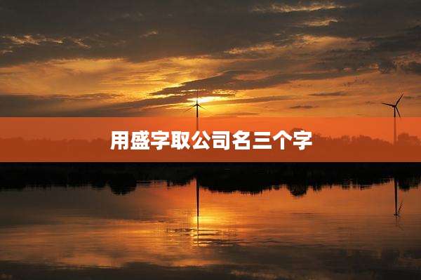 用盛字取公司名三个字