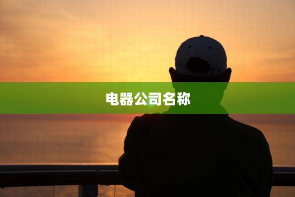 电器公司名称