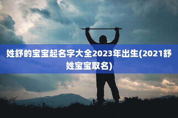 姓舒的宝宝起名字大全2023年出生(2021舒姓宝宝取名)