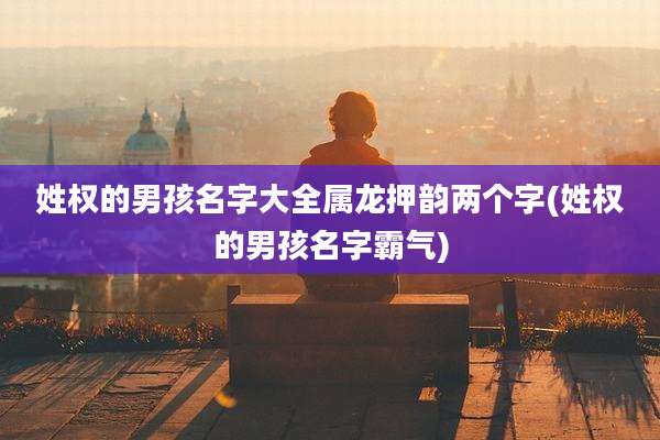 姓权的男孩名字大全属龙押韵两个字(姓权的男孩名字霸气)