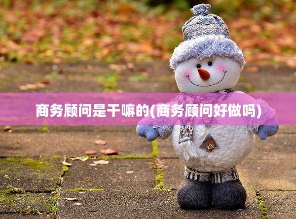 商务顾问是干嘛的(商务顾问好做吗)