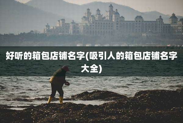 好听的箱包店铺名字(吸引人的箱包店铺名字大全)