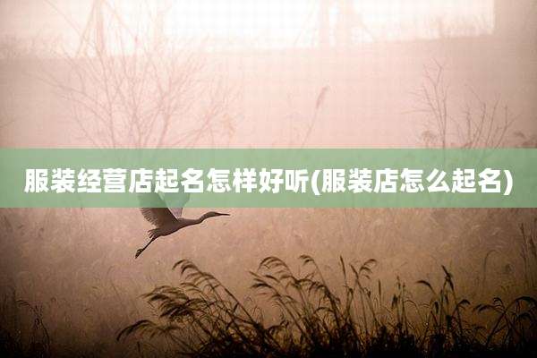 服装经营店起名怎样好听(服装店怎么起名)