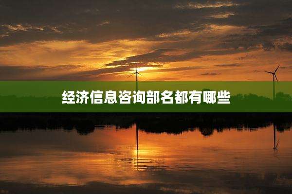 经济信息咨询部名都有哪些