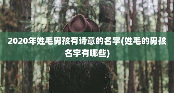2020年姓毛男孩有诗意的名字(姓毛的男孩名字有哪些)