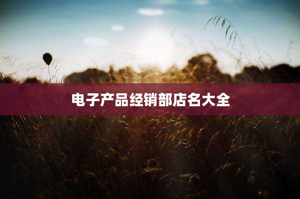 电子产品经销部店名大全