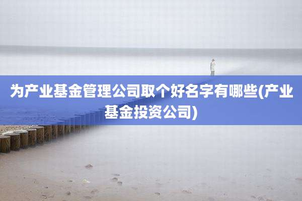 为产业基金管理公司取个好名字有哪些(产业基金投资公司)