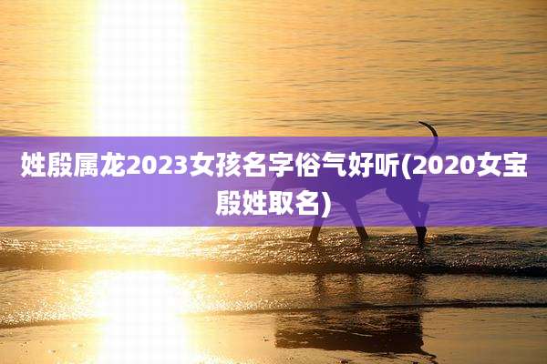 姓殷属龙2023女孩名字俗气好听(2020女宝殷姓取名)