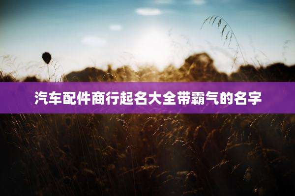 汽车配件商行起名大全带霸气的名字