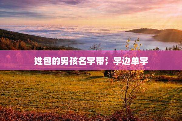 姓包的男孩名字带氵字边单字
