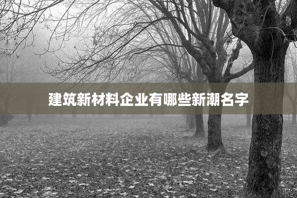 建筑新材料企业有哪些新潮名字
