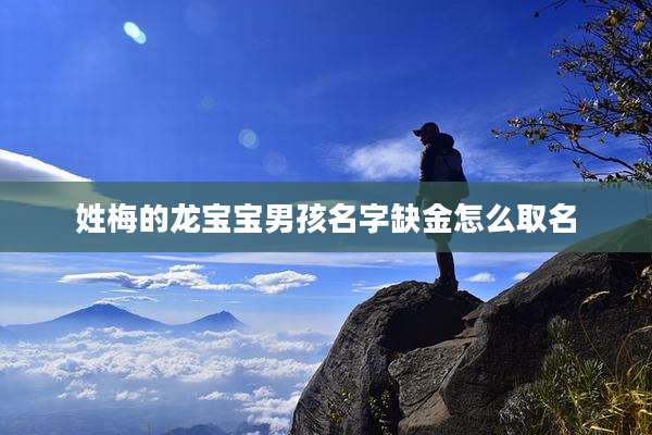 姓梅的龙宝宝男孩名字缺金怎么取名