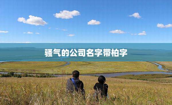 骚气的公司名字带柏字