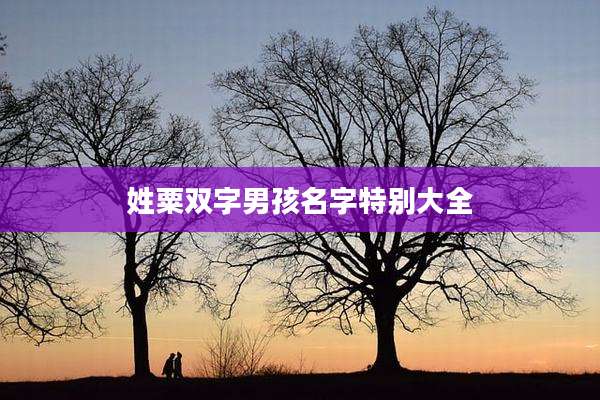 姓粟双字男孩名字特别大全