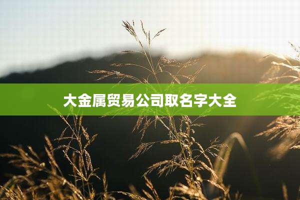 大金属贸易公司取名字大全