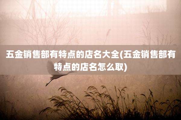 五金销售部有特点的店名大全(五金销售部有特点的店名怎么取)