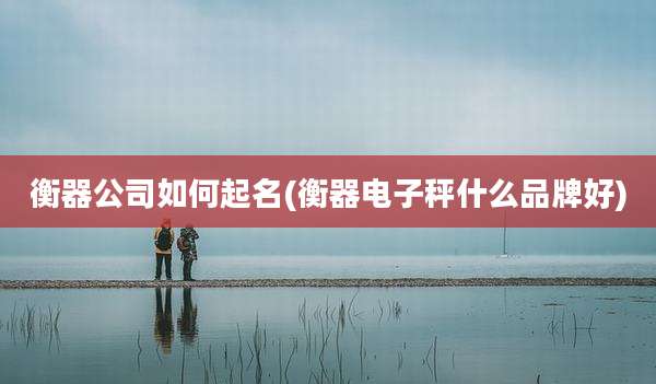衡器公司如何起名(衡器电子秤什么品牌好)