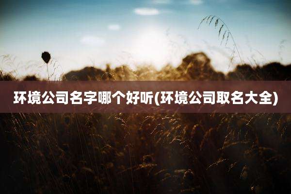环境公司名字哪个好听(环境公司取名大全)