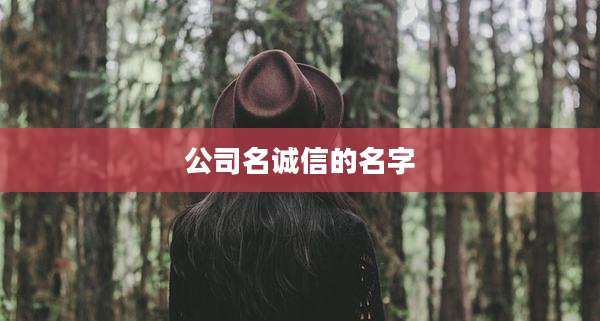 公司名诚信的名字