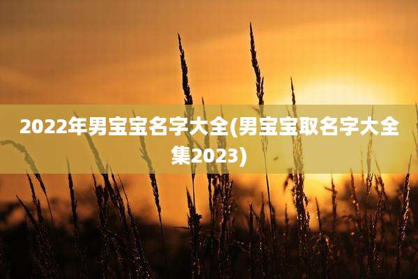 2022年男宝宝名字大全(男宝宝取名字大全集2023)