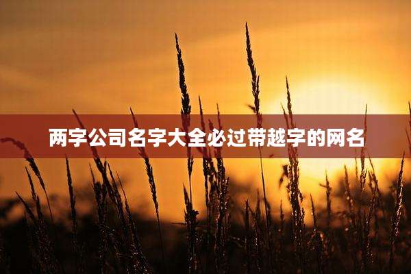 两字公司名字大全必过带越字的网名