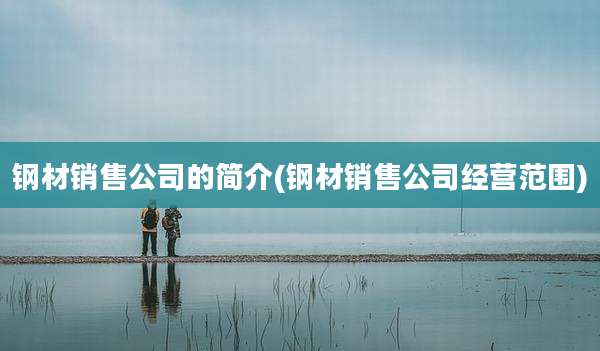 钢材销售公司的简介(钢材销售公司经营范围)
