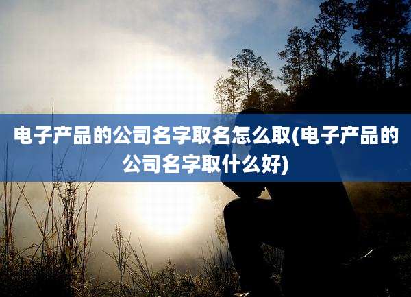 电子产品的公司名字取名怎么取(电子产品的公司名字取什么好)