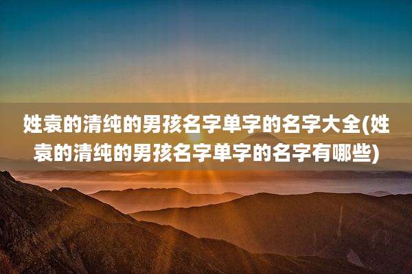 姓袁的清纯的男孩名字单字的名字大全(姓袁的清纯的男孩名字单字的名字有哪些)