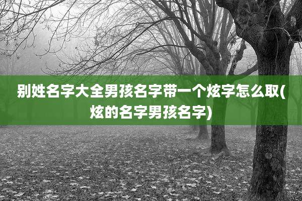 别姓名字大全男孩名字带一个炫字怎么取(炫的名字男孩名字)