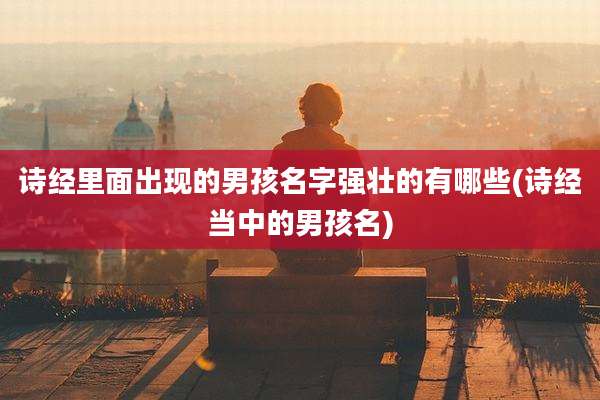 诗经里面出现的男孩名字强壮的有哪些(诗经当中的男孩名)