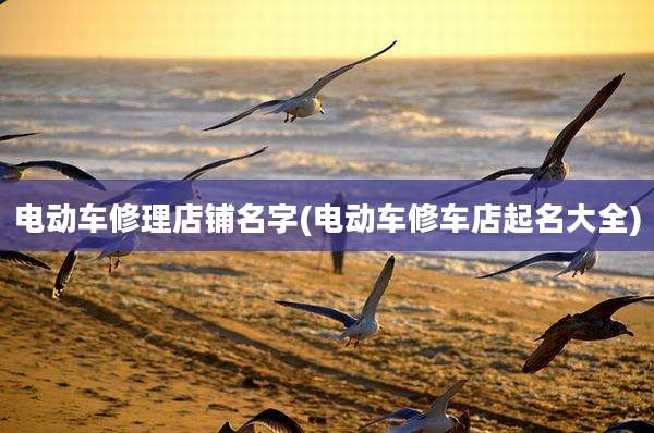 电动车修理店铺名字(电动车修车店起名大全)