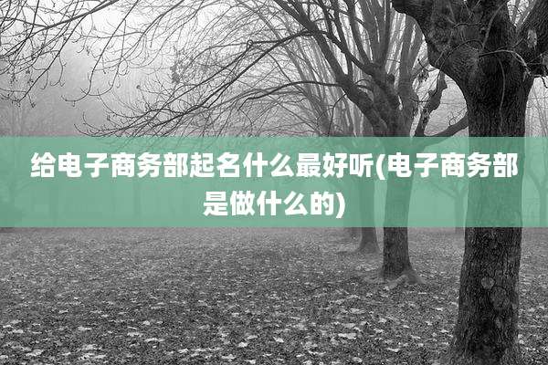 给电子商务部起名什么最好听(电子商务部是做什么的)