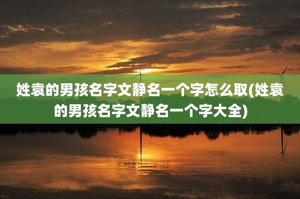 姓袁的男孩名字文静名一个字怎么取(姓袁的男孩名字文静名一个字大全)