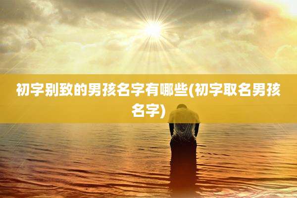 初字别致的男孩名字有哪些(初字取名男孩名字)