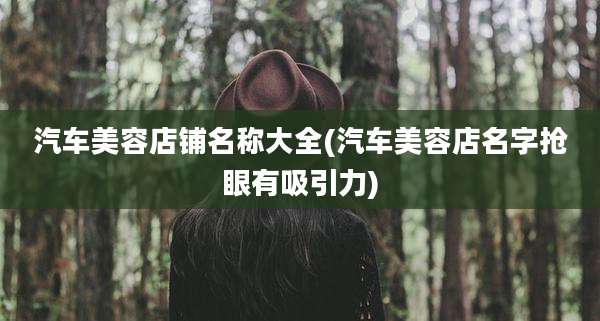 汽车美容店铺名称大全(汽车美容店名字抢眼有吸引力)