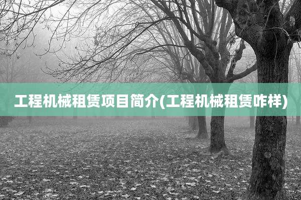 工程机械租赁项目简介(工程机械租赁咋样)