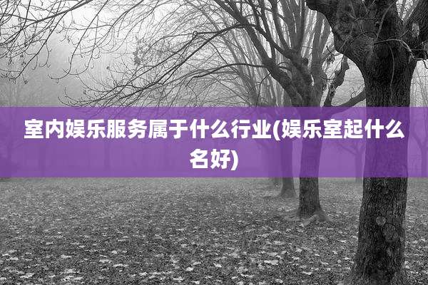 室内娱乐服务属于什么行业(娱乐室起什么名好)