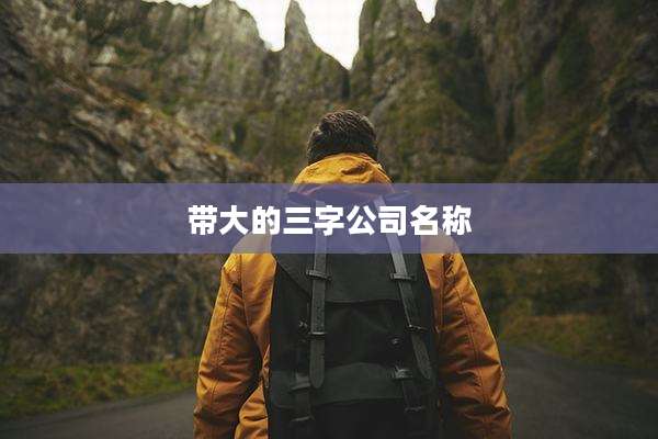 带大的三字公司名称