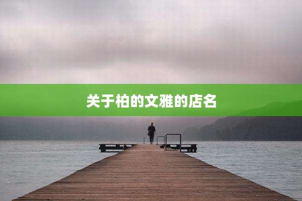 关于柏的文雅的店名