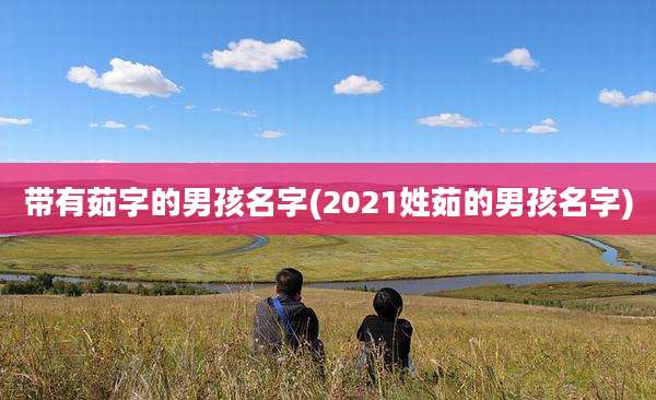 带有茹字的男孩名字(2021姓茹的男孩名字)