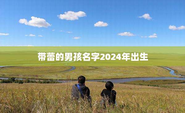 带蕾的男孩名字2024年出生