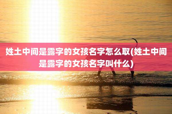 姓土中间是露字的女孩名字怎么取(姓土中间是露字的女孩名字叫什么)