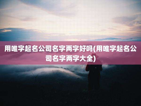 用唯字起名公司名字两字好吗(用唯字起名公司名字两字大全)