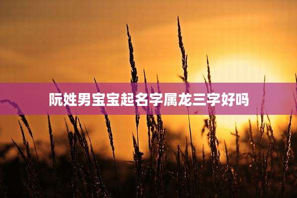 阮姓男宝宝起名字属龙三字好吗
